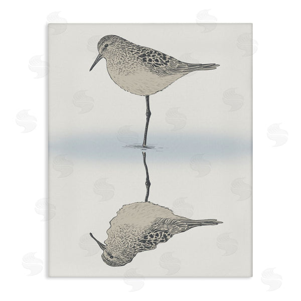 stupell industries Ziwei Li | Tranquil Sandpiper Bird Reflection