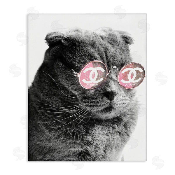 stupell industries Ziwei Li | Trendy Cat Wearing Glam Fashion Pink Sunglasses Wall Art