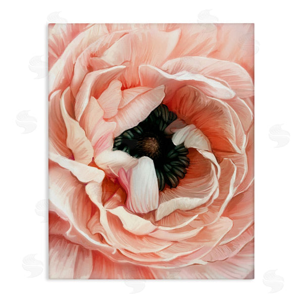 stupell industries Ziwei Li | Up Close Pink Peony Intricate Sunlit Petals Wall Art
