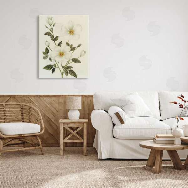Stupell Industries Ziwei Li | Vintage Apple Blossoms Wall Art