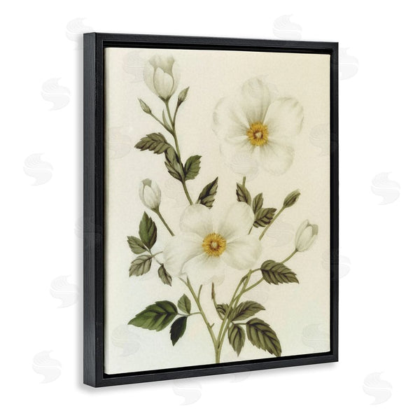 Stupell Industries Ziwei Li | Vintage Apple Blossoms Wall Art
