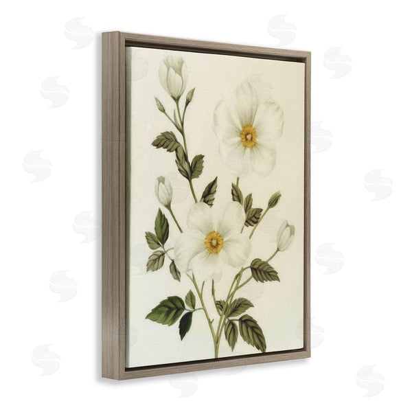Stupell Industries Ziwei Li | Vintage Apple Blossoms Wall Art