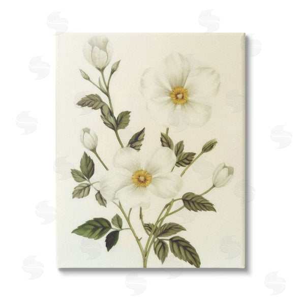 stupell industries Ziwei Li | Vintage Apple Blossoms Wall Art