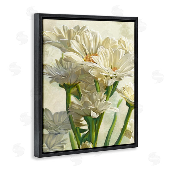 Stupell Industries Ziwei Li | White Daisy Spring Florals