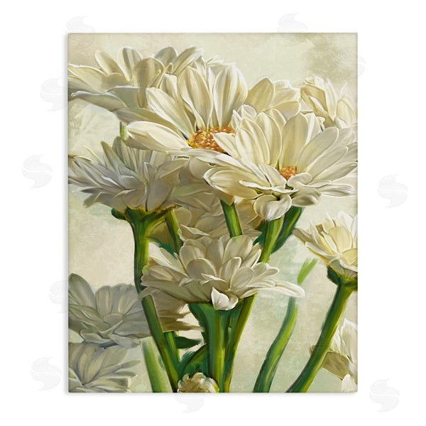 stupell industries Ziwei Li | White Daisy Spring Florals