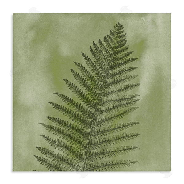stupell industries Ziwei Li | Wild Nature Fern Leaf Wall Art