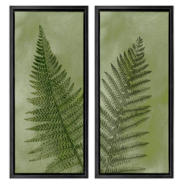 Stupell Industries Ziwei Li | Woodland Nature Fern Leaves Wall Art