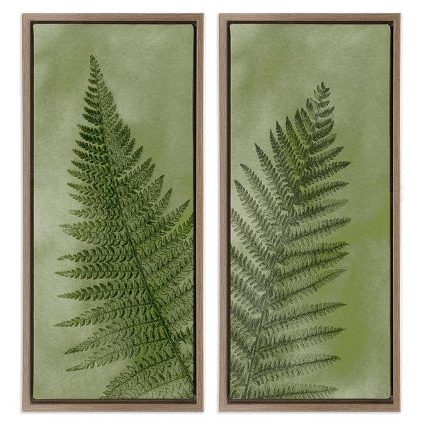 Stupell Industries Ziwei Li | Woodland Nature Fern Leaves Wall Art