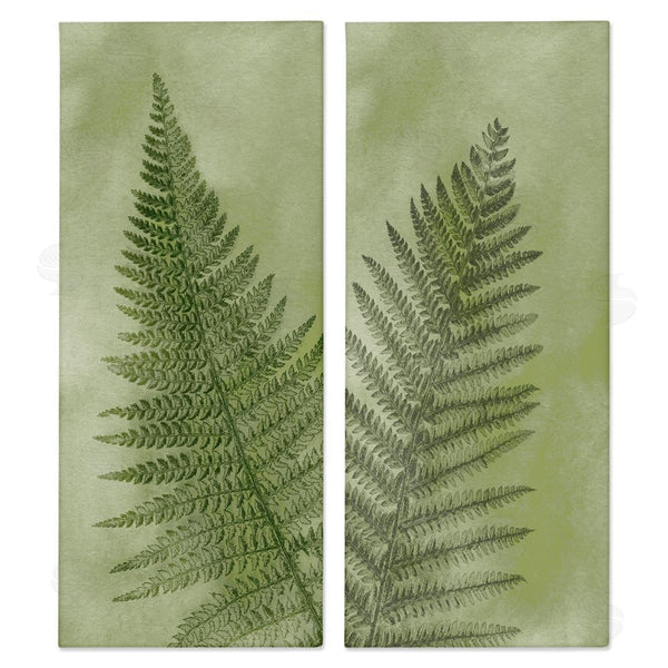 stupell industries Ziwei Li | Woodland Nature Fern Leaves Wall Art